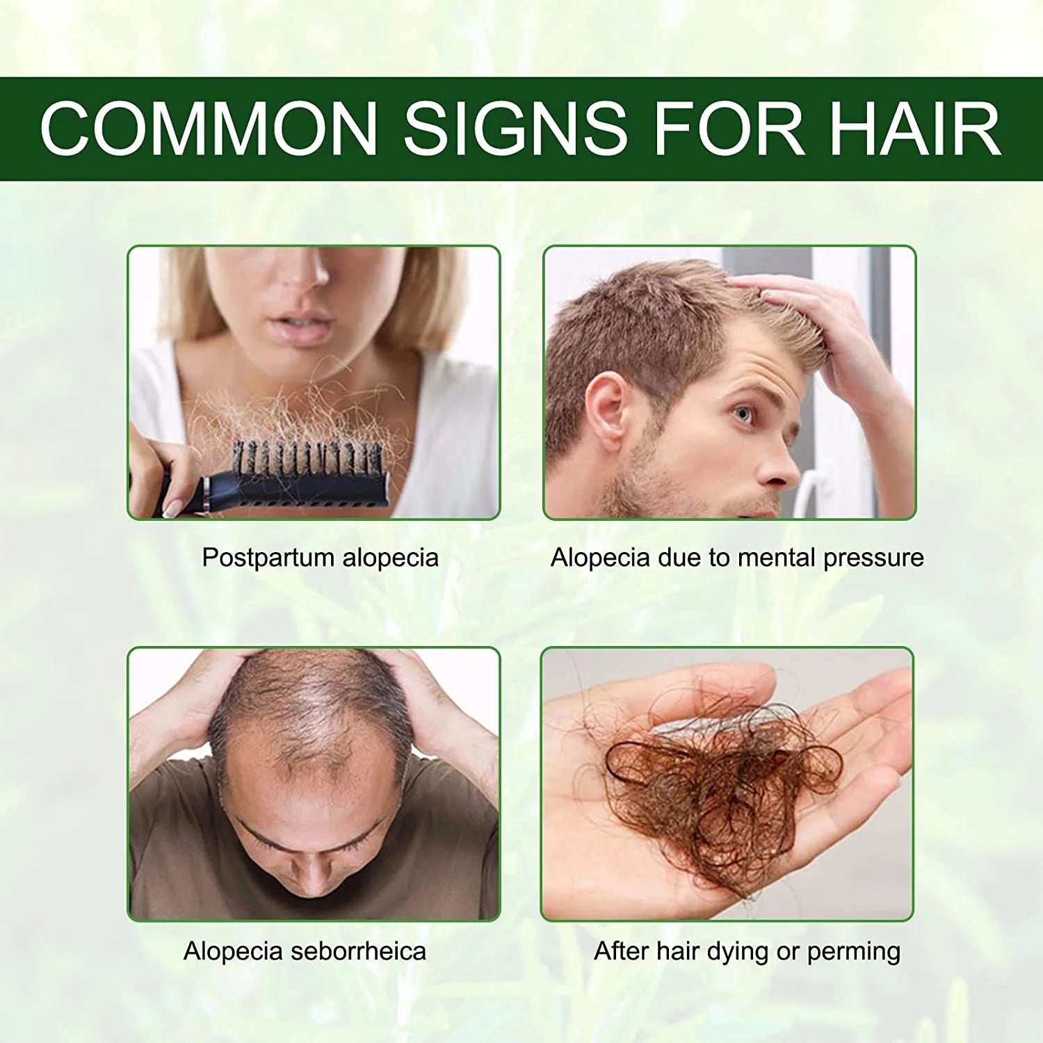 Rosemary Hair Growth Oil - ALIVER