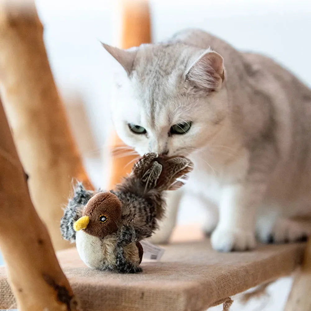 Interactive Bird Cat Toy