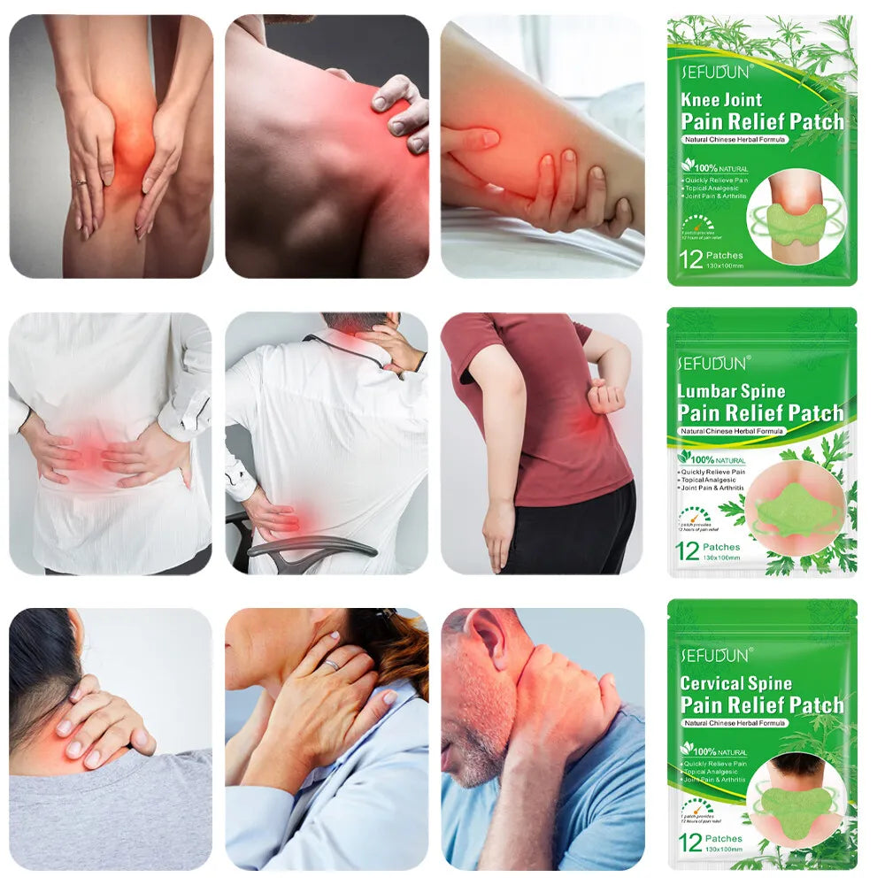 Pain Relief Patches (12pcs)