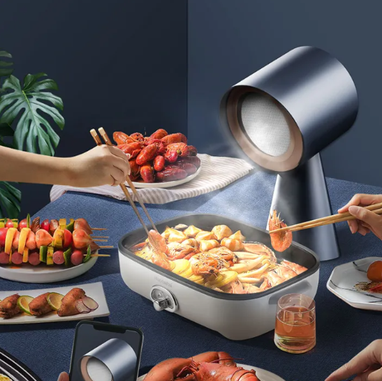 Portable Range Hood